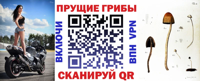 Псилоцибиновые грибы прущие грибы Оленегорск