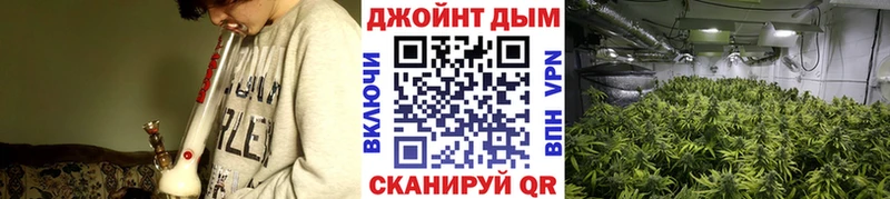 Бошки марихуана семена Оленегорск